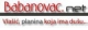 babanovacnetlogo120x40