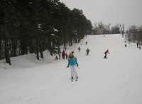kosutnjak220209