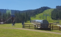 torik img 800x486