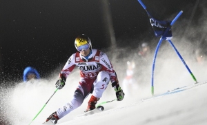 hirscher598a