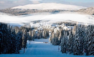 kopaonik op2015