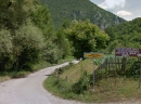 Bistrica - put koji vodi do manastira Podvrh
