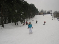 kosutnjak220209