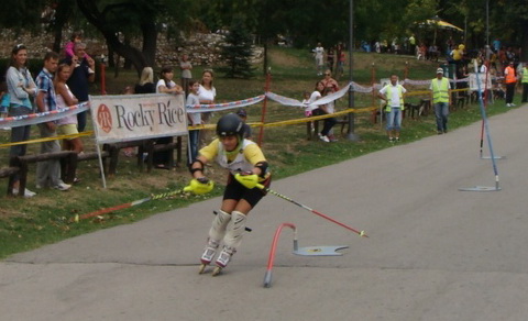 inlinenis20132a
