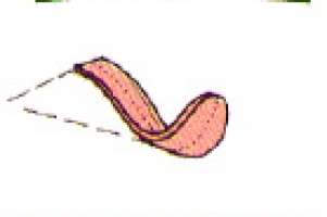 polovneskije2