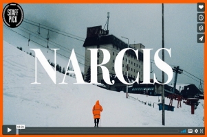 NARCIS on Vimeo 1 600x400