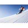 teaching ski carving 295x195