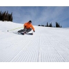 carvingskisskier
