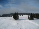 Rogla - staza za skijaško trčanje