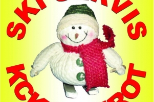 skiservickcko2v