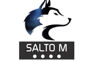 saltom250x2