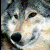 http://www.skijanje.rs/forum/image.php?u=1301&dateline=1168362881