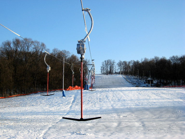 41993013