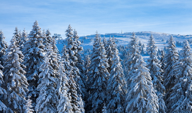 Kopaonik2640x389