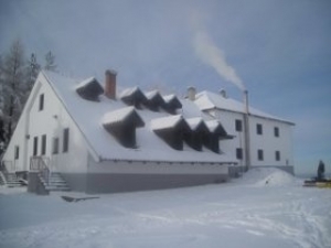 490x370besna kobila skijanje