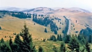 677z381kopaonik