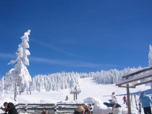HunnyBannyKaramanGreben Kopaonik