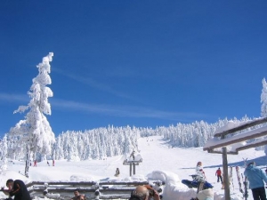 HunnyBannyKaramanGreben Kopaonik2