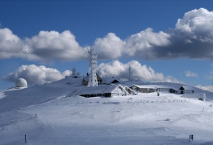 Kopaonik Pancicev vrhb