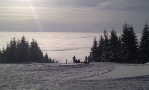 Odvracenica800x2