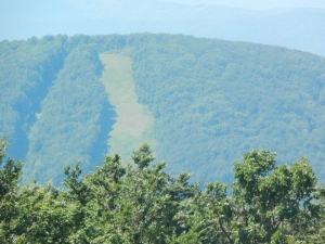 Rajkovo Pogled sa Likovca