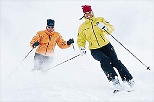 SKI1102gbbm