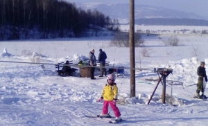 Vlasina jan2017 2 a