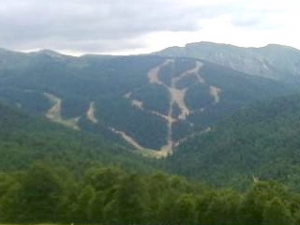bjelasicapogled250