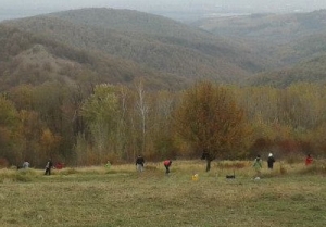 brankovac11nov20126a