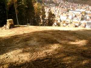 brijezdjajesen201239n