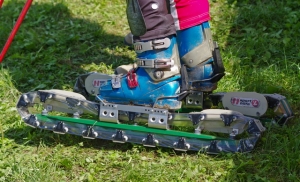 grassskis640x389