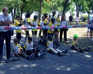 inlinenis2012