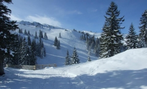 jahorina2012960x583