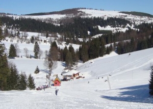 knezevo4a
