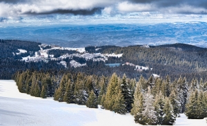 koppanot 960x584