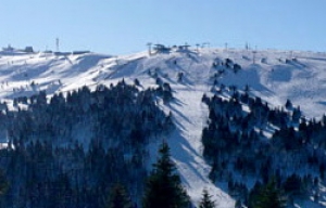 kopski2212