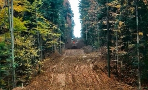 kozaraokt2015 640x389s