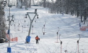 kraljevicazajecar2014800