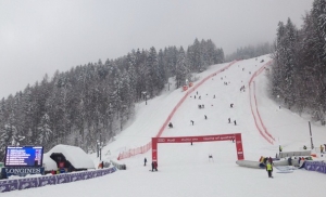 kranjskagora01022014fis