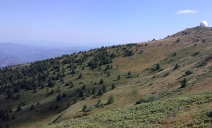 krcmar00415