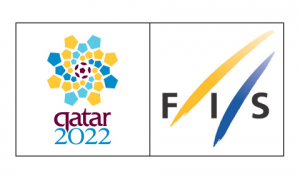qatarfis
