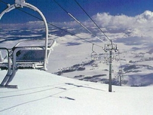 savinkuk250