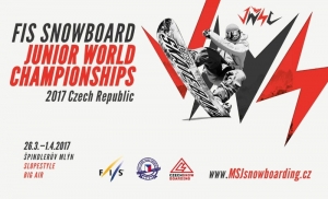 sbwjc2017 3