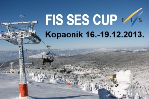seskopaonik2013