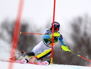 shiffrin