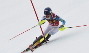 shifrinmeribel