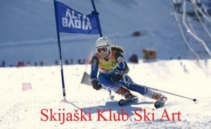 skiartlogosli480x292