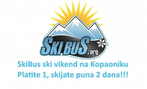 skibusskivikend