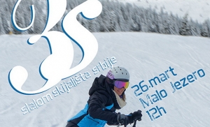 skis 3s trka593