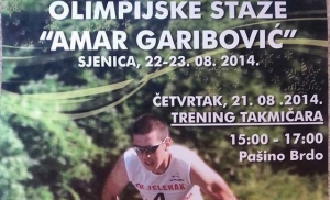 skjenicaamar 22082014640